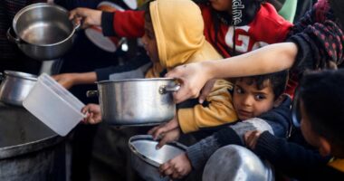 Programi Botëror i Ushqimit: Uria do jetë e pashmangshme në Gazën veriore nëse ndihmat nuk rriten