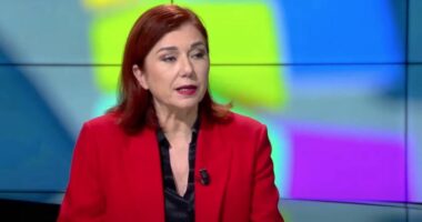 “Lejet e qëndrimit, si përfitojnë shqiptarët në Greqi”, Gemi: Qëllimi është të plotësohet vakumi për fuqinë punëtore