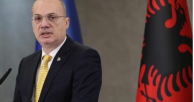 Ministri Hasani në Strasburg, merr pjesë në sesionin e 133-të të Komitetit të Ministrave të Këshillit të Evropës