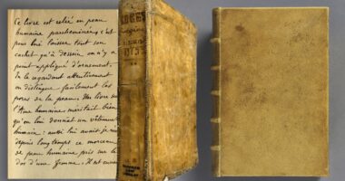 Kopertinë me lëkurë njeriu/ Universiteti i Harvardit e heq nga libri i shkrimtarit francez