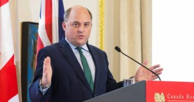 Ish-ministri i Mbrojtjes Ben Wallace nuk përjashton dërgimin e forcave britanike në Ukrainë