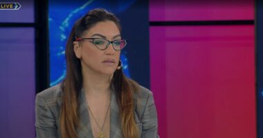 Shqiptarët në shtëpitë e barit në Londër, Llabani: Punojnë nën hundën e policisë britanike