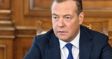 Medvedev: Anëtarët e rinj të NATO-s janë objektiva të mundshme për Moskën