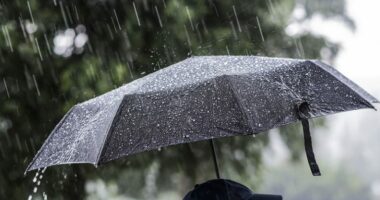 Parashikimi i motit/ Temperaturat zbresin me disa gradë, priten reshje shiu në disa zona