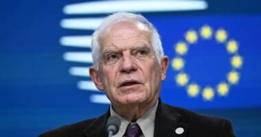 Borrell: Lufta në Gaza tregon se njerëzimi ka dështuar