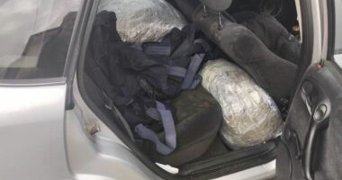 Kapen rreth 100 kg drogë në Igumenicë/ Arrestohen dy persona, njëri prej tyre shqiptar