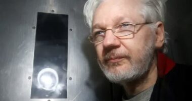 Gjykata britanike merr vendimin: Themeluesi i WikiLeaks, Assange nuk do të ekstradohet në SHBA