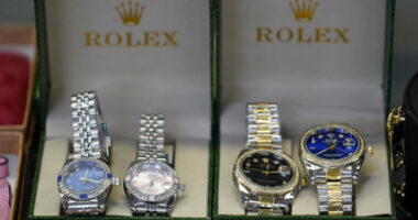 Pas falimentimit të faqes në internet, zhduken 900 orë luksoze