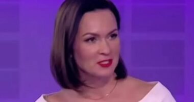 Thirrja e Putin për të bërë më shumë fëmijë, moderatorja ruse: Gati për të tretin