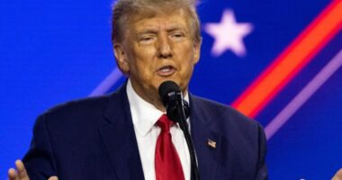 Trump: TikTok është një kërcënim për sigurinë kombëtare