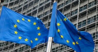 Sekuestrimi i aseteve nga Rusia mund të shkaktojë kolaps global