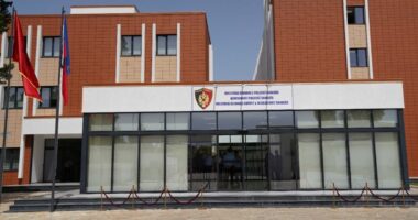 Shkodër/ Iu gjet kanabis në makinë, arrestohet shtetasi turk, procedohet një tjetër