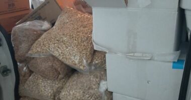 Kontrabanduan fruta të thata nga Greqia në Shqipëri, e pësojnë dy persona