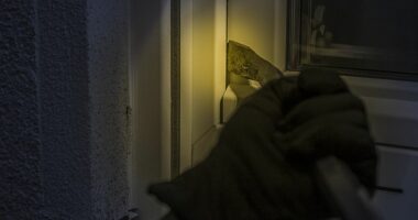 Gjendet një hajdut i dehur në një sallon bukurie