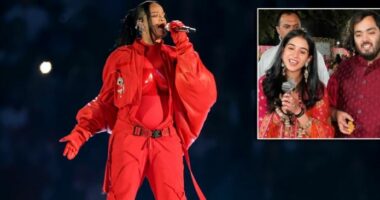 Njeriu më i pasur në Indi marton djalin/ Rihanna kërkon 5.8 milionë për të kënduar, zbulohen të ftuarit elitarë