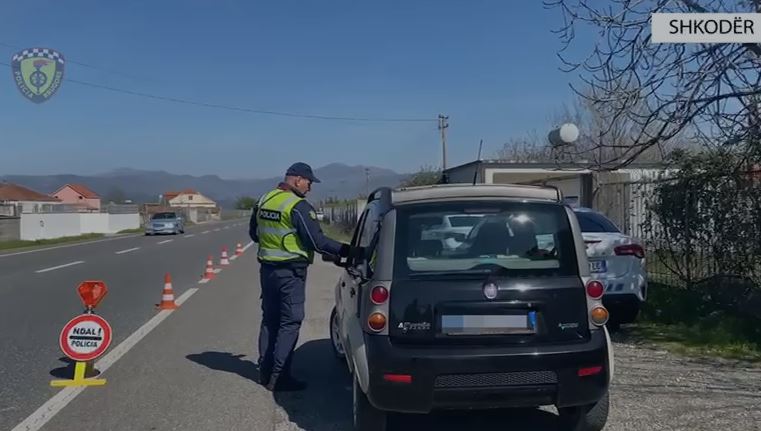 Drejtim mjeti në gjendje të dehur dhe pa leje drejtimi/ Policia Rrugore e Shkodrës bën bilancin javor