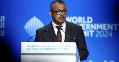 Shefi i OBSH-së: Më shumë kalime tokësore në Gaza, e vetmja mënyrë për të parandaluar urinë