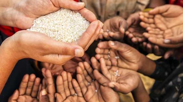 Bota shpërdoron 19% të ushqimit, ndërsa 783 milionë njerëz vuajnë nga uria
