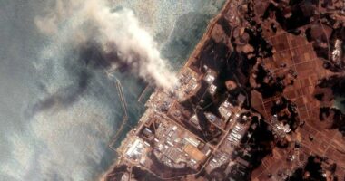 13 vjet nga fatkeqësia e Fukushimës, 2520 persona ende të zhdukur