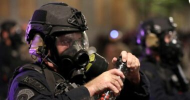 Raporti: Mbi 1000 njerëz kanë vdekur në duart e policisë amerikane pa përdorimin e armëve