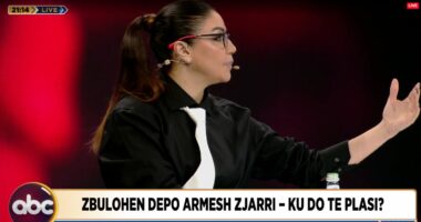 “Depot funksionojnë për të pajisur me armë grupet kriminale dhe individë”, Llabani: U zbuluan nga të penduarit