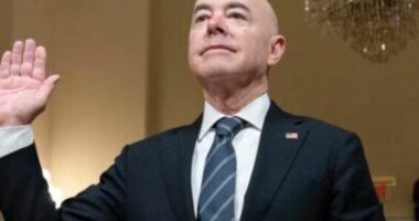 Senati i jep fund përpjekjes për shkarkimin e Sekretarit të Sigurisë Kombëtare