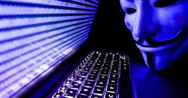 Anonymous hakon faqen e ushtrisë izraelite, vjedh 250,000 dokumente të IDF