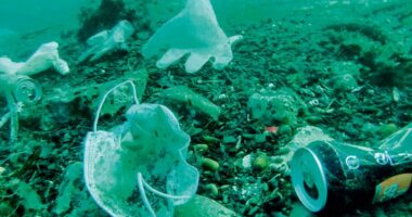 11 milionë tonë mbetje plastike gjenden në fund të oqeaneve