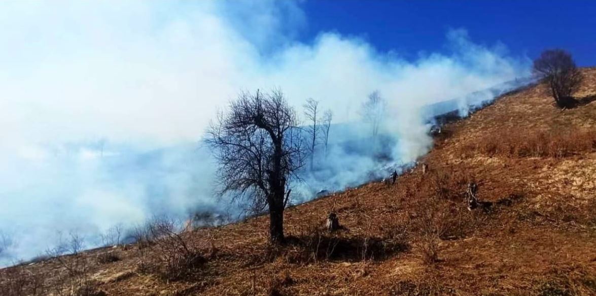 Riaktivizohet sërish zjarri në Pogradec, terreni malor vështirëson ndërhyrjen e zjarrfikësve