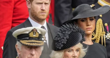 Princi Harry dhe Meghan do të prodhojnë dy seriale në Netflix