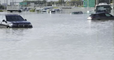 Të paktën 20 të vdekur nga përmbytjet në Emiratet e Bashkuara Arabe