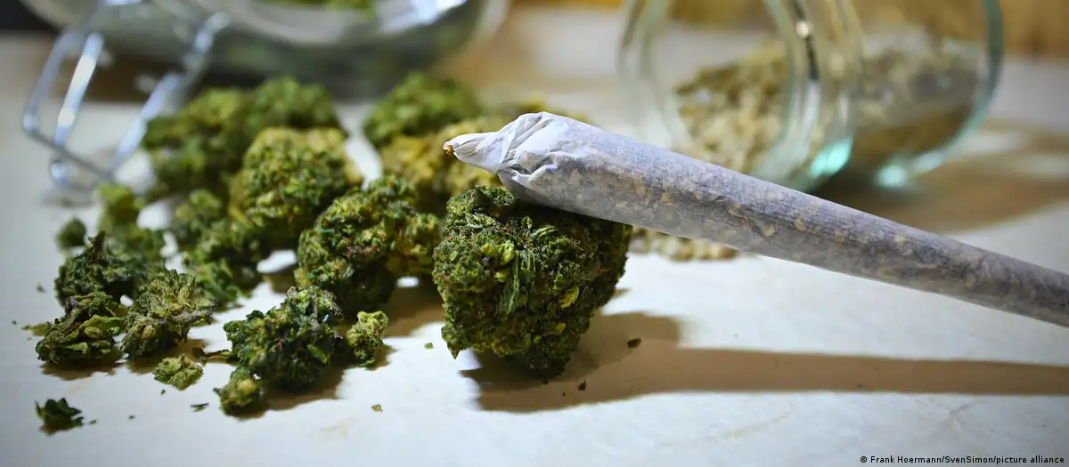 Gjermani, hyn në fuqi legalizimi i kanabisit për të rriturit