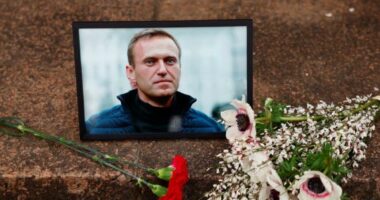 A e urdhëroi Putin vrasjen e kundërshtarit Alexei Navalny? Ja çfarë zbulon inteligjenca amerikane