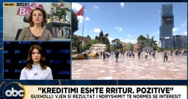 Rritet kreditimi në ekonomi, çfarë përfitojmë? Guxholli analizon treguesit: Si duhet parë kjo lloj sjelljeje