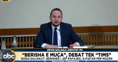 “Berisha e Muça”, debat tek “TIMS”/ Gogu-Salianjit: Berishës i jep pafajësi, gjyqtar për Muçën