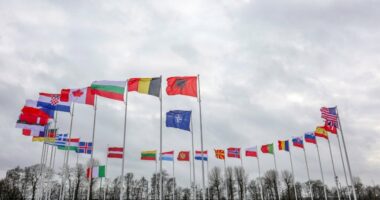 Begaj uron 75-vjetorin e Aleancës: Pa NATO-n, siguria globale është e paimagjinueshme