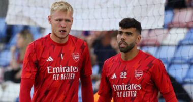 Në kërkim të një portieri, Newcastle vihet pas “gardianit” të “Topçinjve”