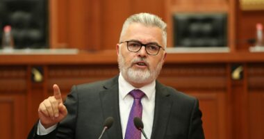 Propozimi për të miturit në polici/ Ministri Gogu: Shteti nuk e lë fëmijën vetëm, edhe kur gabon