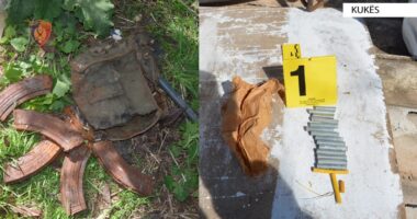 Dyshohet se ngacmoi seksualisht dy vajzat e tij të mitura, pranga 39-vjeçarit në Kukës