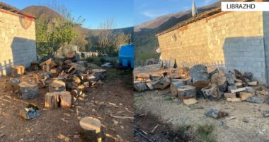 Librazhd/ Prenë pyjet në mënyrë të paligjshme, pranga 58-vjeçarit, në kërkim i mituri