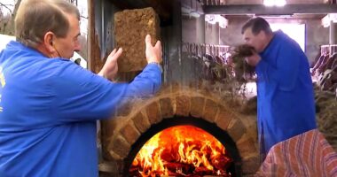 Fermeri shqiptar prodhon energji nga jashtëqitjet e bagëtive: Kam një dashuri të madhe ndaj natyrës