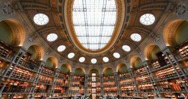 Në Bibliotekën Kombëtare të Francës gjenden katër libra me arsenik në kopertina