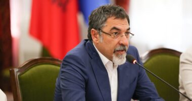 Komisioni për Dezinformimin/ Çuçi: Nuk është për përdorim të brendshëm. Shqipëria s’është imune nga ndërhyrjet e huaja