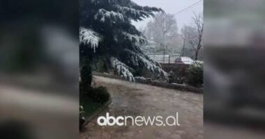 VIDEO/ Nisin reshjet e borës në Voskopojë