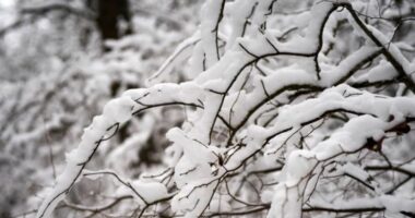 Nga temperaturat 30 gradë në reshje bore, zbardhen zona të ndryshme në Kroaci dhe Slloveni