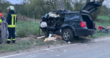 Shoferi humbet kontrollin dhe përplaset me pemën, 3 të vdekur në Gjermani