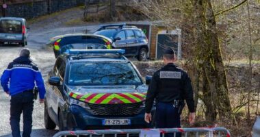 Francë, zbulohen eshtrat e fëmijës që u zhduk rreth një vit më parë