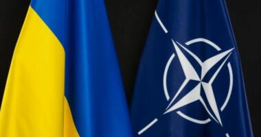 NATO: Sulmet e ukrainasve ndaj rafinerive ruse mund të kenë shkatërruar 15% të kapacitetit të tyre