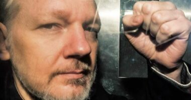 Misioni i Julian Assange ishte të ndryshonte botën por me çfarë kostoje?