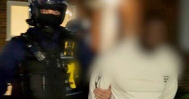 Operacion ndërkombëtar/ Arrestohen 37 persona për mashtrim dhe vjedhje online